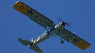Fieseler Storch Modell 1/4 Überflug